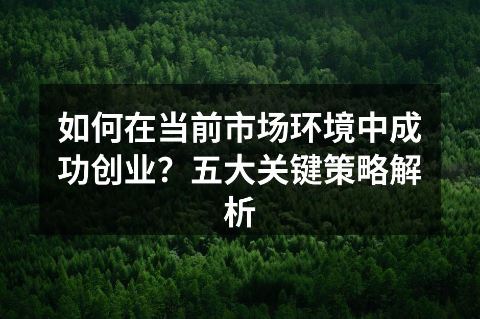 如何在当前市场环境中成功创业？五大关键策略解析